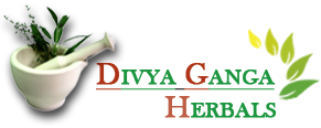 Divya Ganga Herbals